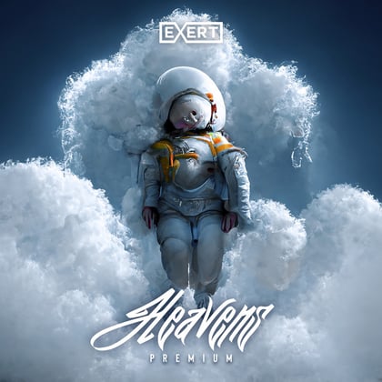 Heavens album by Premium - Drum and Bass Cover Art