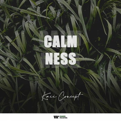 Calmness album by Kaii Concept - Drum and Bass Cover Art