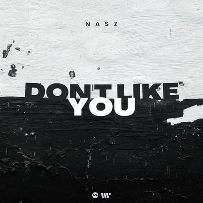 Don't Like You album by Nasz - Drum and Bass Cover Art