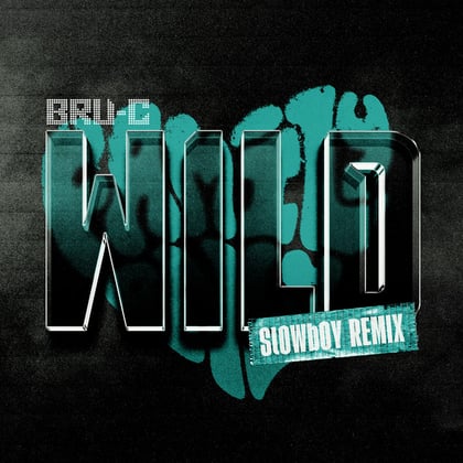 Wild (Slowboy Remix) album by Bru-C - Drum and Bass Cover Art