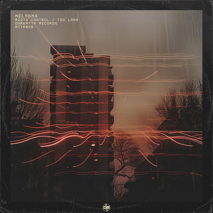 Roots Control album by Melysma - Drum and Bass Cover Art