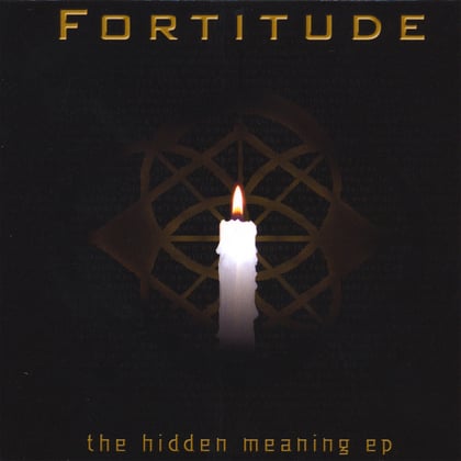 The Hidden Meaning EP album by Fortitude - Drum and Bass Cover Art