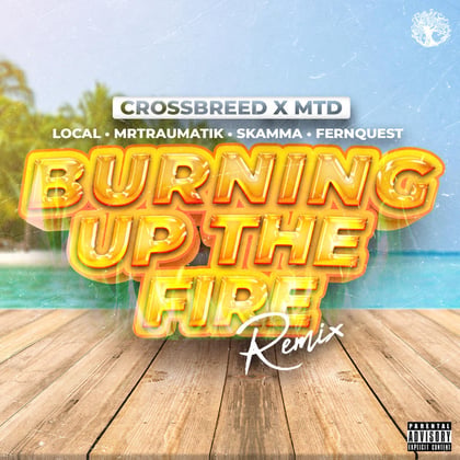 Burning Up The Fire (Remix) album by Mr Traumatik, CrossBreed & MTD - Drum and Bass Cover Art