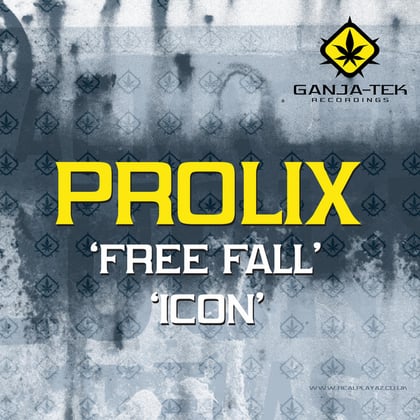 Free Fall / Icon album by Prolix - Drum and Bass Cover Art