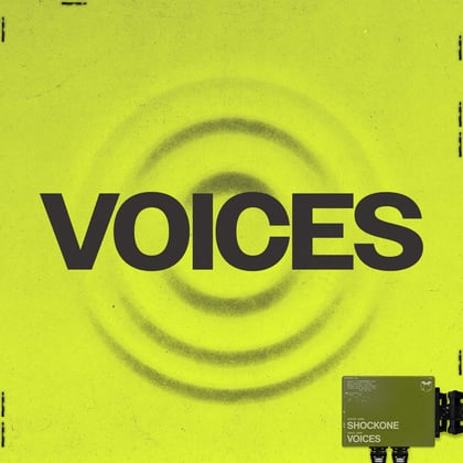 Voices album by ShockOne - Drum and Bass Cover Art