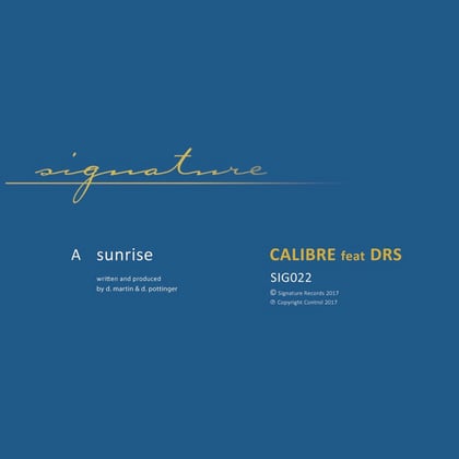 Sunrise album by dBridge & Calibre - Drum and Bass Cover Art