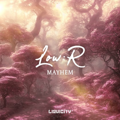 Mayhem album by Low:r - Drum and Bass Cover Art
