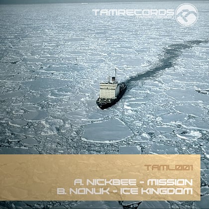 Mission, Ice Kingdom album by NickBee & Nonuk - Drum and Bass Cover Art