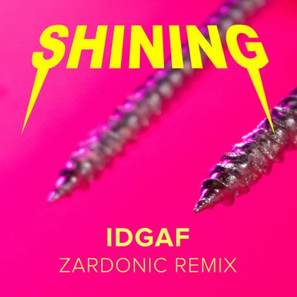 IDGAF (Zardonic Remix) album by Zardonic & Shining - Drum and Bass Cover Art