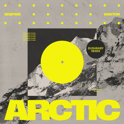 Arctic (Bushbaby Remix) album by Skepsis - Drum and Bass Cover Art