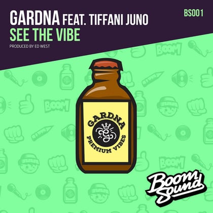 See The Vibe album by Gardna - Drum and Bass Cover Art