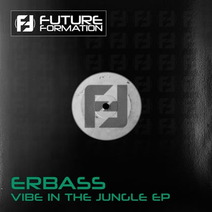 Vibe in the Jungle EP album by ERBass - Drum and Bass Cover Art