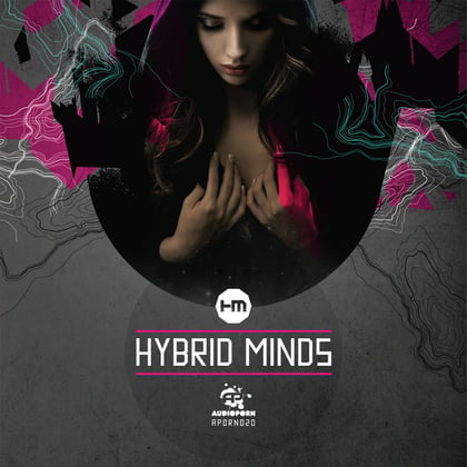 Hybrid Minds album by Hybrid Minds - Drum and Bass Cover Art
