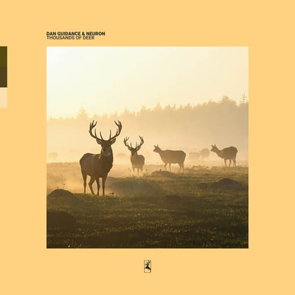 Thousands Of Deer album by Dan Guidance - Drum and Bass Cover Art