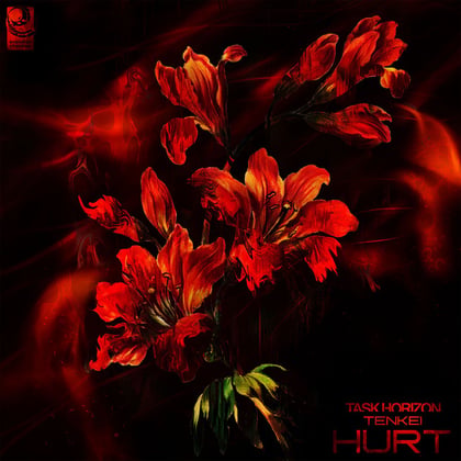 Hurt album by Task Horizon & Tenkei - Drum and Bass Cover Art