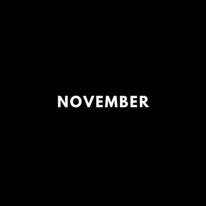 November Lofi (Radio Edit) album by Muffler - Drum and Bass Cover Art