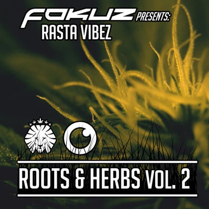 Fokuz Presents Rasta Vibez - Roots & Herbs Vol. 2 album by Mystic Pulse - Drum and Bass Cover Art