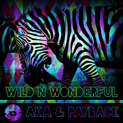 Wild N Wonderful album by A.K.A & Payback - Drum and Bass Cover Art