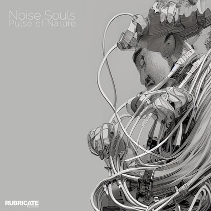 Pulse Of Nature album by Noise Souls - Drum and Bass Cover Art