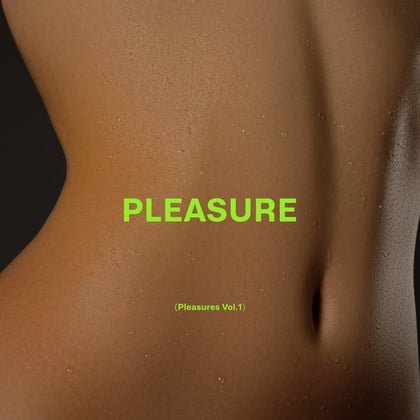 Pleasure album by 1991 - Drum and Bass Cover Art