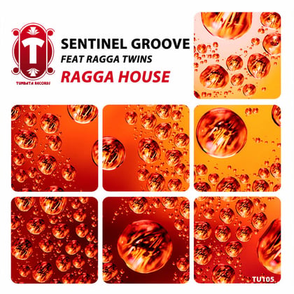 Ragga House album by Dr Meaker, Sentinel Groove & Ragga Twins - Drum and Bass Cover Art