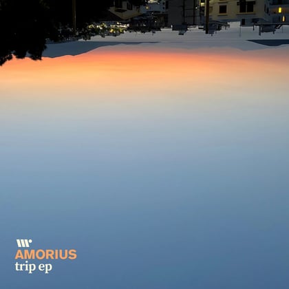 Trip album by Amorius - Drum and Bass Cover Art