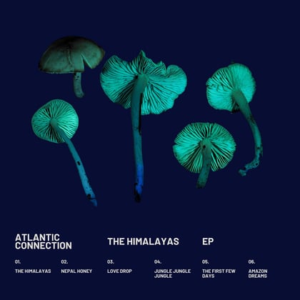 The Himalayas EP album by Atlantic Connection - Drum and Bass Cover Art