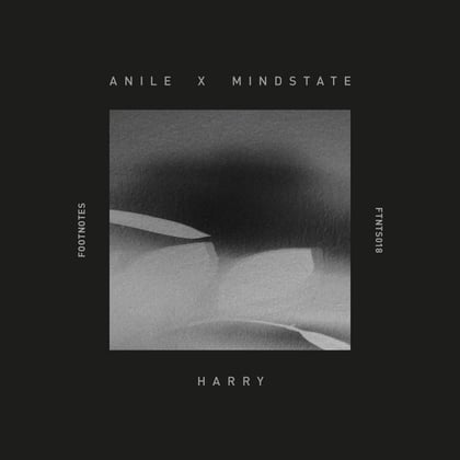 Harry album by Anile & Mindstate - Drum and Bass Cover Art