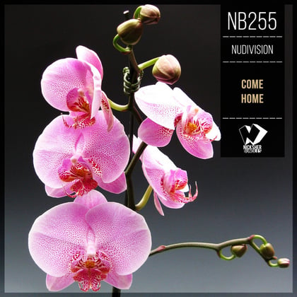 Come Home album by NuDivision - Drum and Bass Cover Art