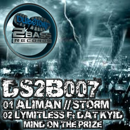 Storm / Mind On The Prize album by Aliman - Drum and Bass Cover Art