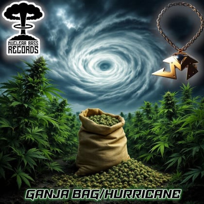 Ganja Bag / Hurricane album by Joy Mobility - Drum and Bass Cover Art