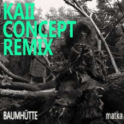 Baumhütte (Kaii Concept Remix) album by Kaii Concept - Drum and Bass Cover Art
