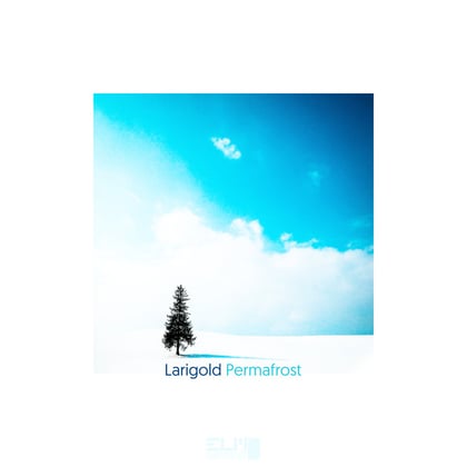 Permafrost album by Larigold - Drum and Bass Cover Art