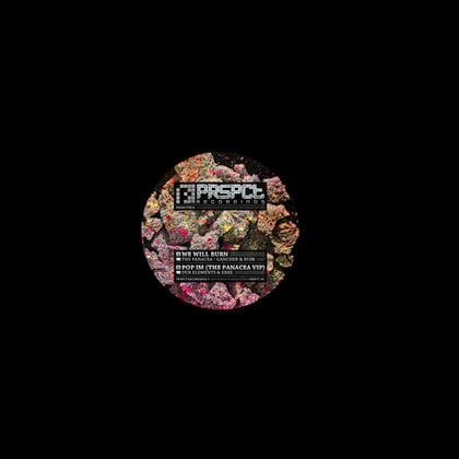 We Will Burn / Pop Im (The Panacea VIP) album by The Panacea, Dub Elements, Gancher & Ruin & eRRe - Drum and Bass Cover Art