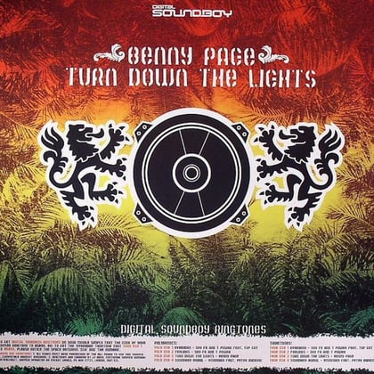Turn Down the Lights album by Benny Page - Drum and Bass Cover Art