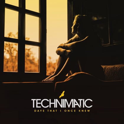 Days That I Once Knew album by Technimatic - Drum and Bass Cover Art
