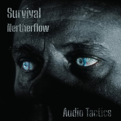 Netherflow album by Survival - Drum and Bass Cover Art