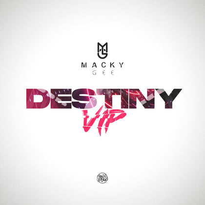 Destiny (VIP) album by Macky Gee - Drum and Bass Cover Art