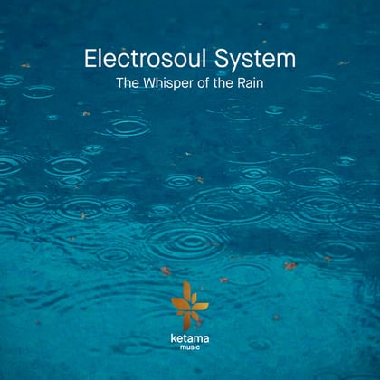 The Whisper Of The Rain album by Electrosoul System - Drum and Bass Cover Art