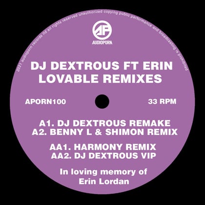 Lovable Remixes album by DJ Dextrous - Drum and Bass Cover Art