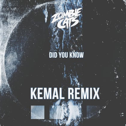 Did You Know (Kemal Remix) album by Zombie Cats - Drum and Bass Cover Art