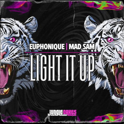 Light It Up album by Euphonique - Drum and Bass Cover Art
