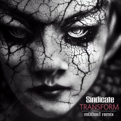 Transform (m00seT Remix) album by Sindicate - Drum and Bass Cover Art