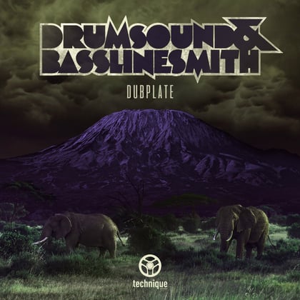 Dubplate album by Drumsound & Bassline Smith - Drum and Bass Cover Art