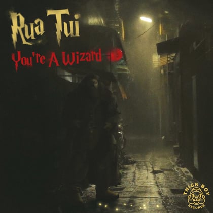 You're A Wizard album by Rua Tui - Drum and Bass Cover Art