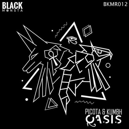Oasis album by Picota - Drum and Bass Cover Art