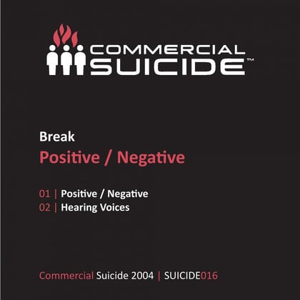 Positive / Negative album by Lenzman & Break - Drum and Bass Cover Art