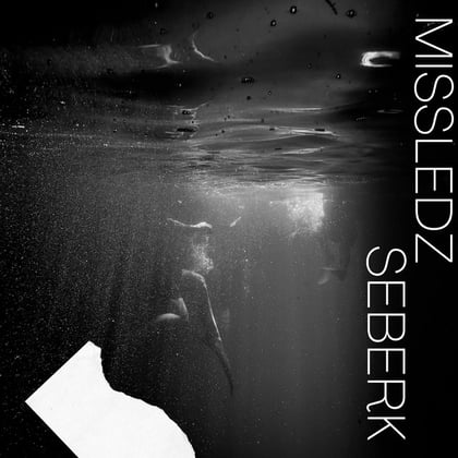 Seberk album by missledz - Drum and Bass Cover Art