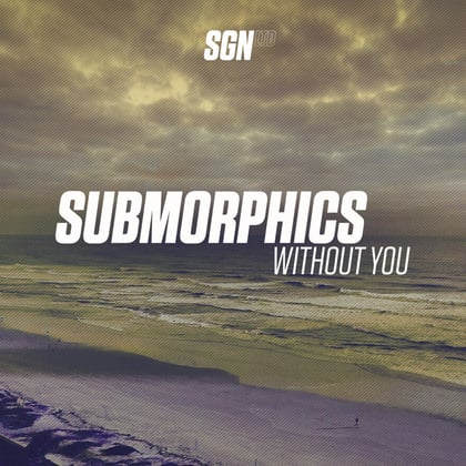 Without You album by Submorphics - Drum and Bass Cover Art