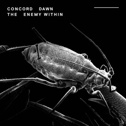The Enemy Within album by Concord Dawn - Drum and Bass Cover Art